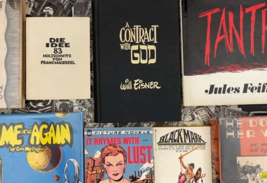 Graphic Novels The Real History